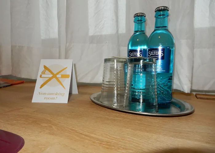 호텔 Frankenhoehe 아우라츠